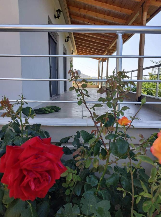 View Apartment ลูโคเวอ ภายนอก รูปภาพ